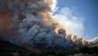 U-Haft gegen Elektro-Unternehmer nach Waldbrand nahe Athen