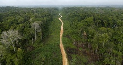 Abholzung im Amazonas auf niedrigstem Stand seit einem Jahrzehnt
