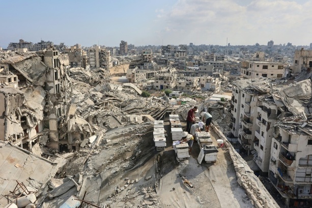 Bild vergr&ouml;&szlig;ern: Datenbank: 2025 starben weltweit 350 humanitäre Helfer - 186 davon im Gazastreifen