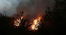 Neuer Waldbrand in Südfrankreich: 270 Feuerwehrleute und vier Löschflugzeuge im Einsatz