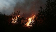 Neuer Waldbrand in Südfrankreich: 270 Feuerwehrleute und vier Löschflugzeuge im Einsatz