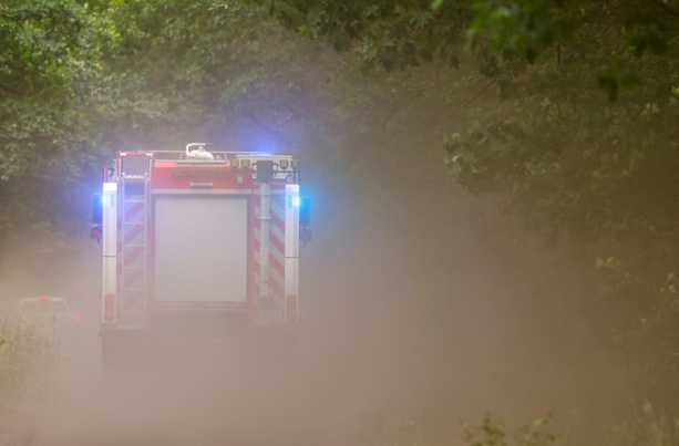 Bild vergr&ouml;&szlig;ern: Zahlreiche Waldbrände in Deutschland - Anwohner in Südhessen sollen Wasser sparen