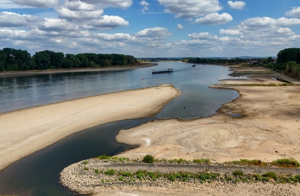 Bild vergr&ouml;&szlig;ern: Folgen der Trockenheit: Flusspegel sinken weiter - Rheinpegel in Koblenz einstellig