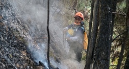 Schulschließungen in Indonesien wegen schlechter Luft infolge von Waldbränden