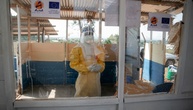 Bereits mehr als 2000 Tote durch Ebola-Epidemie in der Demokratischen Republik Kongo