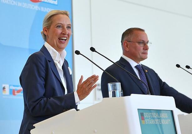 Bild vergr&ouml;&szlig;ern: Forsa: AfD bleibt auf Rekordkurs - Merz auf Allzeit-Tief