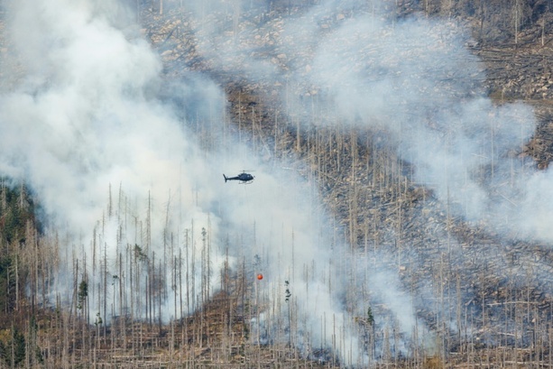 Bild vergr&ouml;&szlig;ern: Weiterhin Wald- und Flächenbrände: Zug nahe Düsseldorf mit 150 Reisenden evakuiert