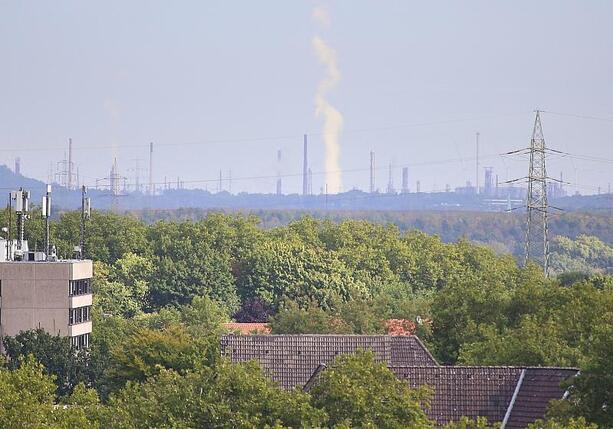 Bild vergr&ouml;&szlig;ern: Kommunen fordern mehr Tempo im Kampf gegen Sozialmissbrauch