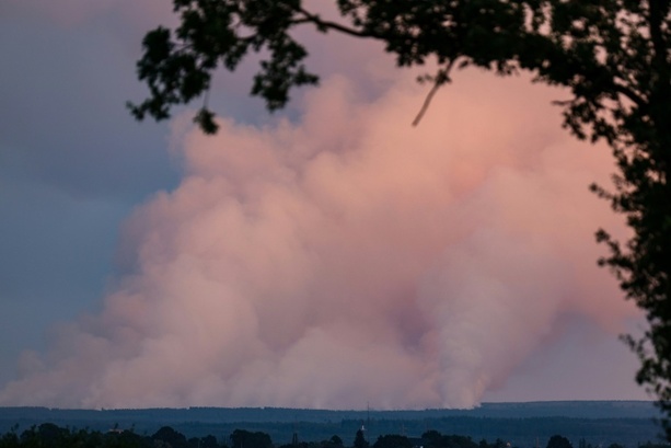 Bild vergr&ouml;&szlig;ern: Waldbrand im Hohen Venn: Fast 850 Hektar in Belgien nahe deutscher Grenze zerstört