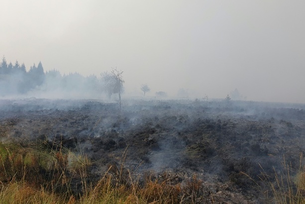 Bild vergr&ouml;&szlig;ern: Waldbrand in Belgien nahe Deutschland hat 3000 Hektar Land zerstört