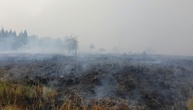 Waldbrand in Belgien nahe Deutschland hat 3000 Hektar Land zerstört