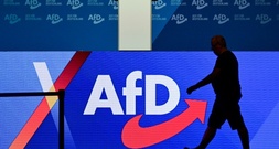 AfD sieht keinen Zusammenhang zwischen Waldbränden und Klimawandel