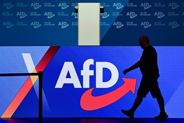 Bild vergr&ouml;&szlig;ern: AfD sieht keinen Zusammenhang zwischen Waldbränden und Klimawandel