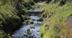 SPD warnt vor Verteilungskämpfen um Wasser