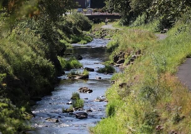 Bild vergr&ouml;&szlig;ern: SPD warnt vor Verteilungskämpfen um Wasser