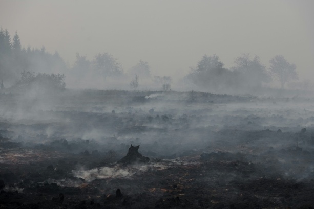Bild vergr&ouml;&szlig;ern: Brand in Belgien: Feuer breitet sich nicht mehr in Richtung Deutschland aus