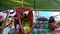 Erdbeben in Indonesien: Fast 13.000 Menschen sind obdachlos