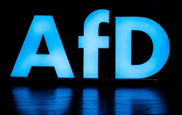 Bild vergr&ouml;&szlig;ern: Von Kommunalwahl in Friesland ausgeschlossen: AfD-Politiker scheitert vor Gericht
