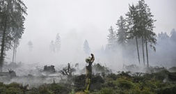 Stadt Monschau hebt Evakuierung wegen Waldbrands in Belgien auf