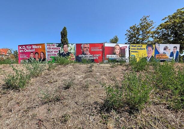 Bild vergr&ouml;&szlig;ern: Studie: Abneigung zwischen Parteilagern wächst