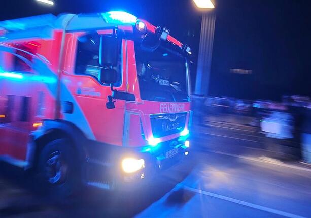 Bild vergr&ouml;&szlig;ern: SPD will Feuerwehrleute mit Waldbrandmedaille auszeichnen