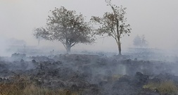 Waldbrände: SPD spricht sich für besondere Auszeichnung für Feuerwehrleute aus