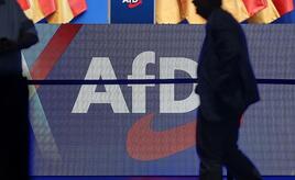 Historikerin warnt Unternehmen vor Nähe zur AfD