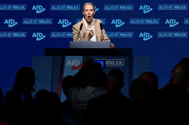 Bild vergr&ouml;&szlig;ern: AfD-Chefin Weidel will aus Euro aussteigen und Deutschlands Grenzen zumachen