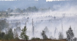EU-Krisenkommissarin besucht Waldbrandgebiete in Deutschland und Belgien