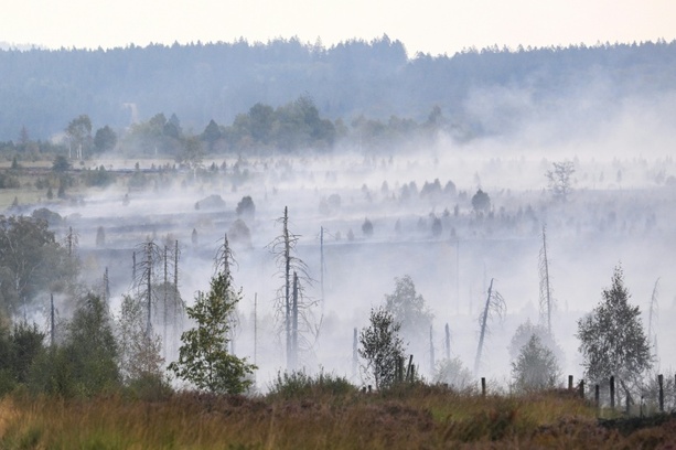 Bild vergr&ouml;&szlig;ern: EU-Krisenkommissarin besucht Waldbrandgebiete in Deutschland und Belgien