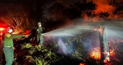 Kolumbiens Regierung schickt Armee in Waldbrandgebiete im Westen des Landes