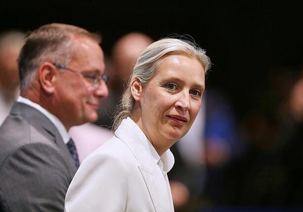 Bild vergr&ouml;&szlig;ern: Forsa: AfD weiterhin klar vor Union