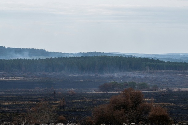 Bild vergr&ouml;&szlig;ern: Brand im Hohen Venn: Staatsanwaltschaft vermutet landwirtschaftliches Gerät als Ursache