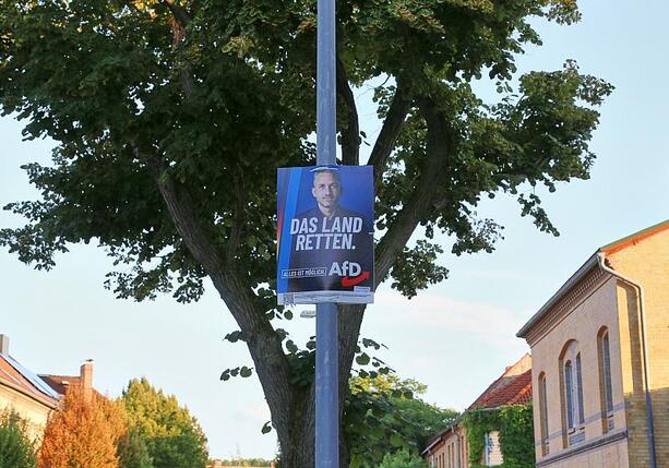 Bild vergr&ouml;&szlig;ern: Zentralrat der Juden warnt vor AfD bei Landtagswahl