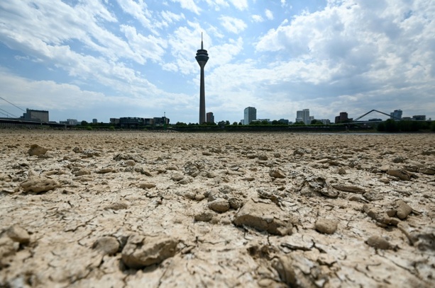 Bild vergr&ouml;&szlig;ern: Voraussichtlich zweitwärmster Sommer seit Aufzeichnungsbeginn in Deutschland