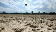 Wetterdienst: Womöglich zweitwärmster Sommer seit Messbeginn in Deutschland