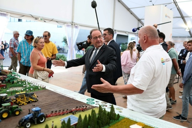 Bild vergr&ouml;&szlig;ern: Frankreichs Ex-Präsident Hollande bereitet erneute Kandidatur vor