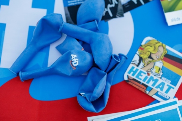 Bild vergr&ouml;&szlig;ern: Oberverwaltungsgericht bestätigt Wahlausschluss von AfD-Kandidaten in Niedersachsen