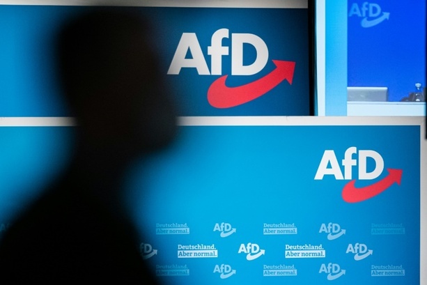 Bild vergr&ouml;&szlig;ern: Wirtschaftsweise: AfD-Regierung in Sachsen-Anhalt würde Fachkräfte abschrecken 