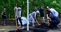 Gedenkort nach CSD-Anschlag: Baum in Berliner Tiergarten herausgerissen