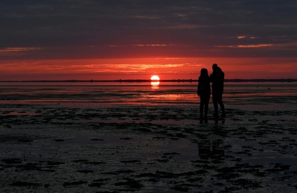 Bild vergr&ouml;&szlig;ern: Bundesamt: Nord- und Ostsee in diesem Sommer deutlich zu warm