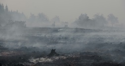 WMO: Hitzewellen und Waldbrände verschlechtern die Luftqualität
