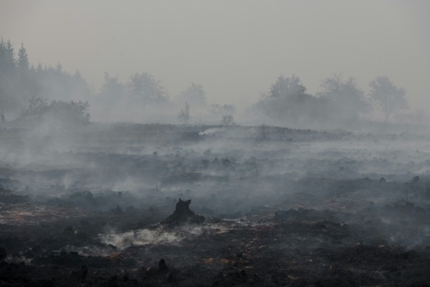 Bild vergr&ouml;&szlig;ern: WMO: Hitzewellen und Waldbrände verschlechtern die Luftqualität