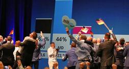 Polen warnt vor AfD