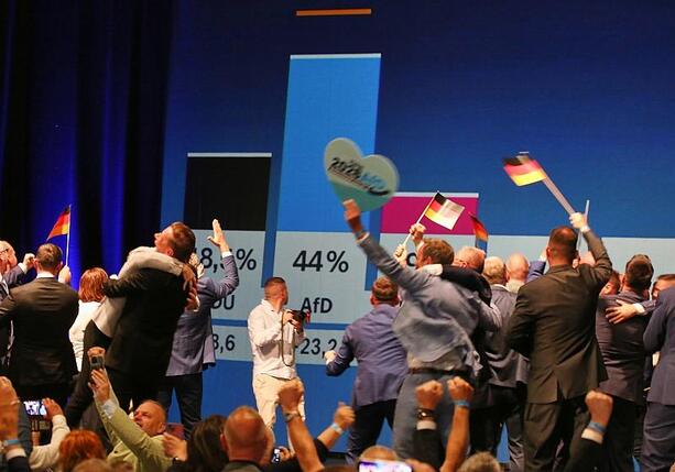 Bild vergr&ouml;&szlig;ern: Polen warnt vor AfD