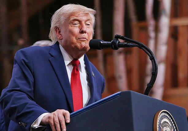 Bild vergr&ouml;&szlig;ern: Bundesregierung weist Trumps Ratschläge zur AfD zurück