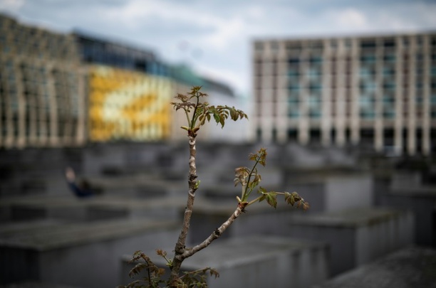 Bild vergr&ouml;&szlig;ern: Zweite Anklage in Zusammenhang mit Attacke an Berliner Holocaust-Mahnmal erhoben