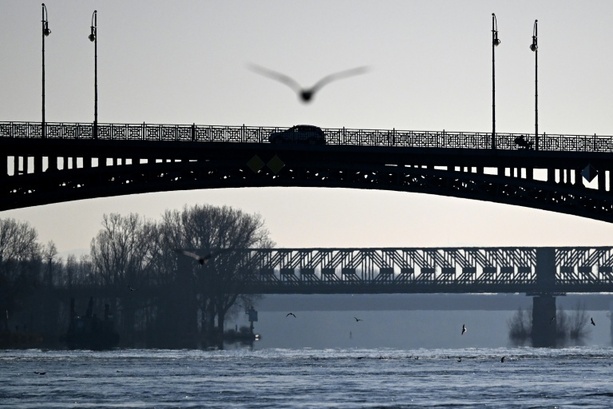 Bild vergr&ouml;&szlig;ern: Feuerwehr rettet Möwe von Rheinbrücke: Einsatz mit Drehleiter und spontanem Applaus