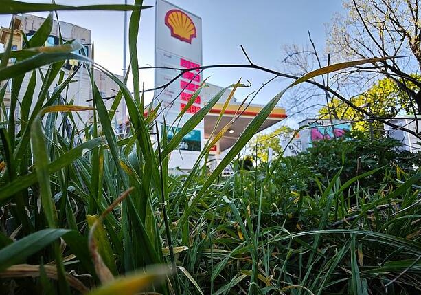 Bild vergr&ouml;&szlig;ern: Frei fordert Mehrwertsteuersenkung auf Sprit zum 1. Oktober