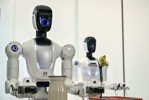 Bild vergr&ouml;&szlig;ern: Viele Menschen würden mehrere tausend Euro für humanoide Haushaltsroboter zahlen